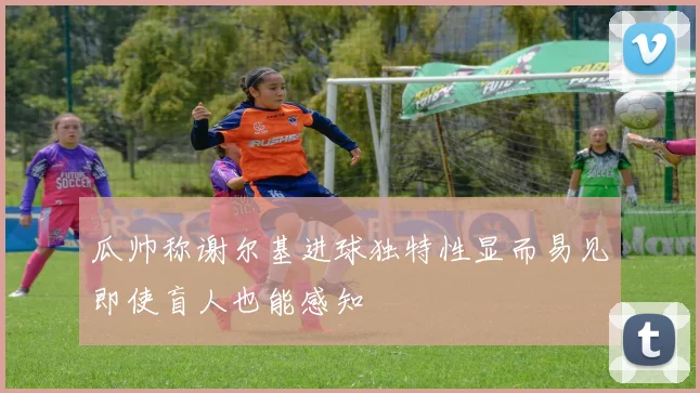 瓜帅称谢尔基进球独特性显而易见即使盲人也能感知